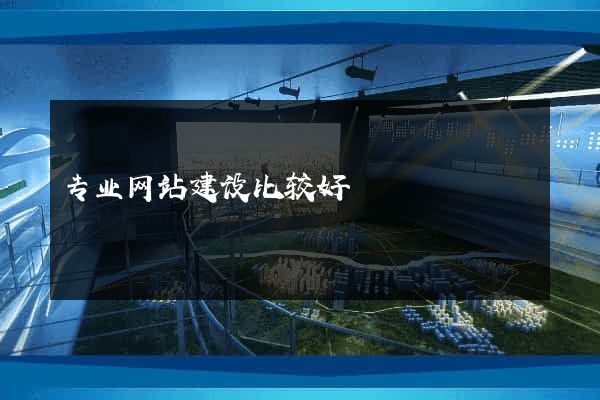 专业网站建设比较好