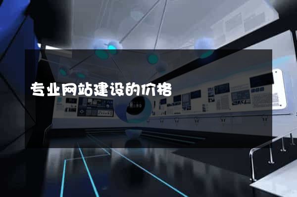 专业网站建设的价格
