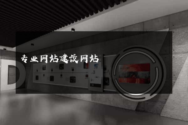 专业网站建设网站