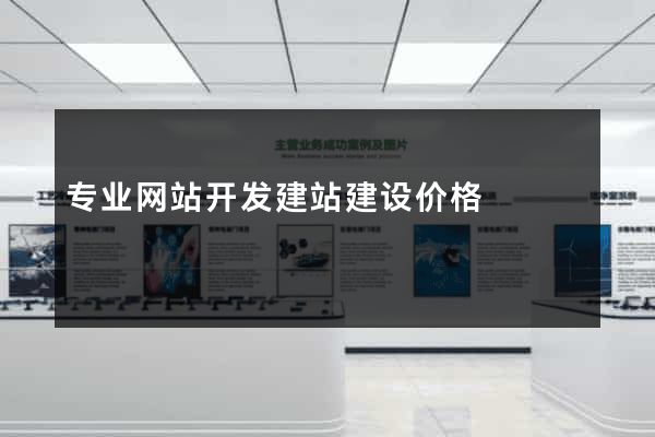 专业网站开发建站建设价格