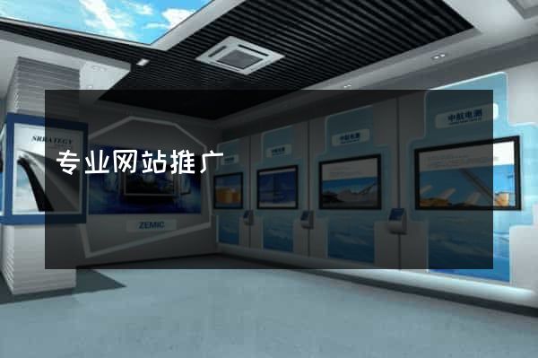 专业网站推广