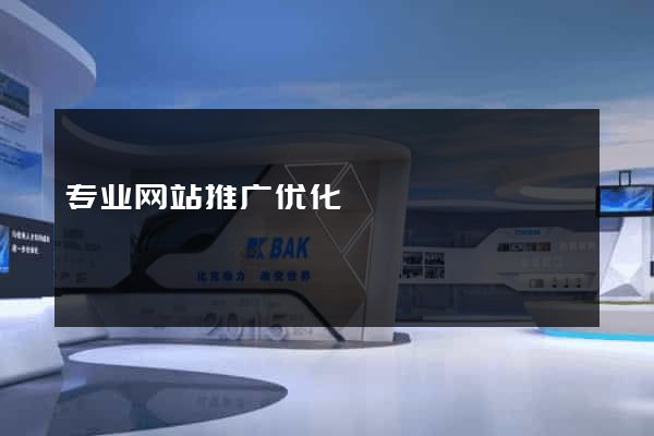 专业网站推广优化