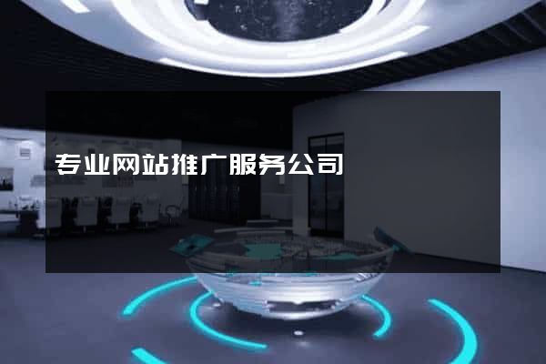 专业网站推广服务公司