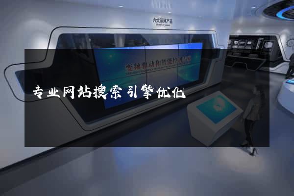 专业网站搜索引擎优化