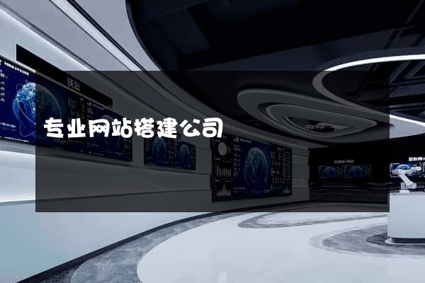 专业网站搭建公司