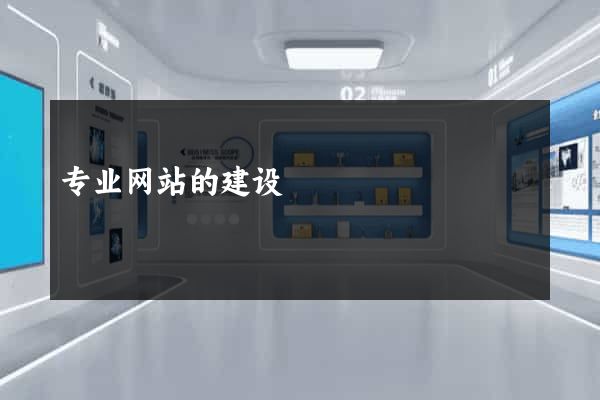 专业网站的建设