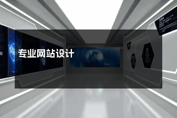 专业网站设计
