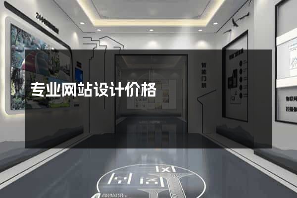 专业网站设计价格
