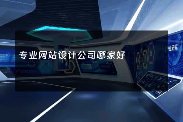 专业网站设计公司哪家好