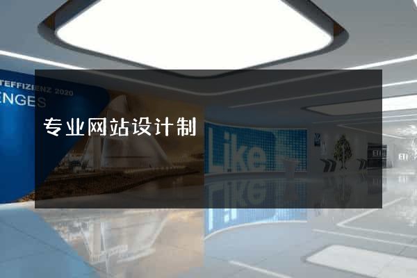 专业网站设计制