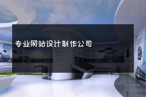 专业网站设计制作公司