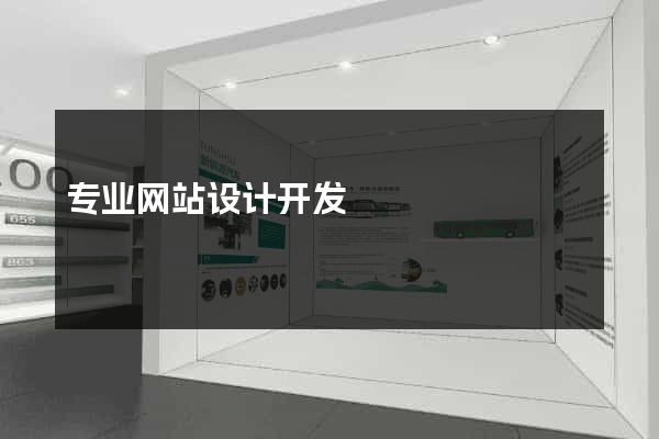 专业网站设计开发