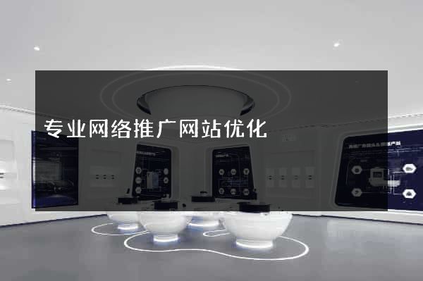 专业网络推广网站优化