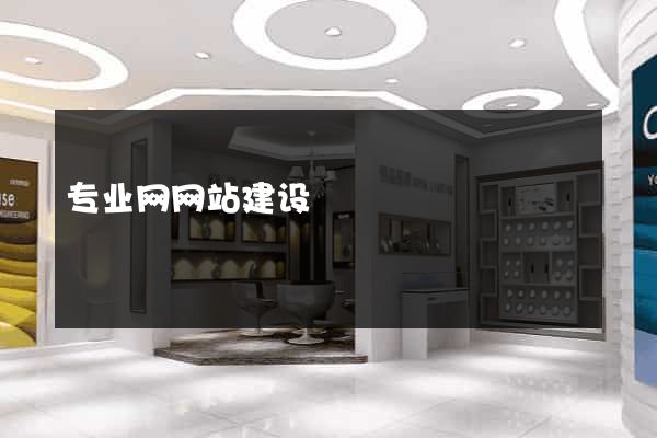 专业网网站建设