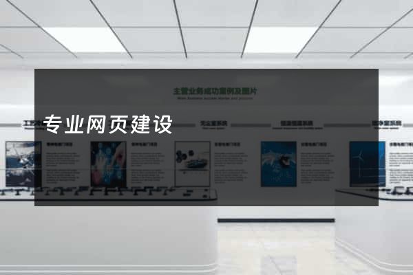 专业网页建设