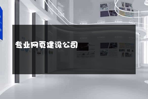 专业网页建设公司