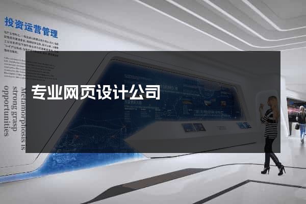 专业网页设计公司