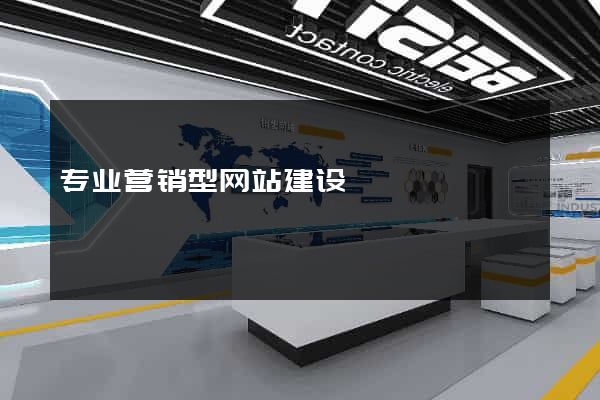 专业营销型网站建设