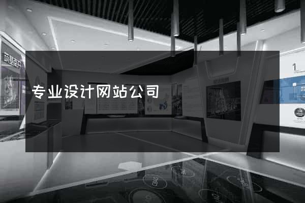 专业设计网站公司