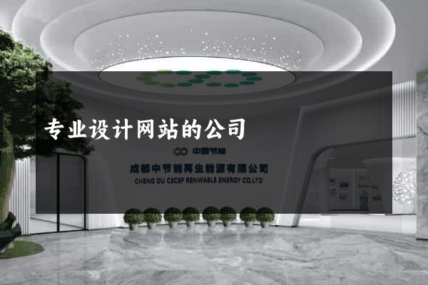 专业设计网站的公司