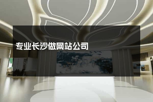 专业长沙做网站公司