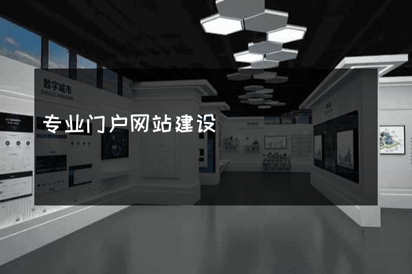 专业门户网站建设