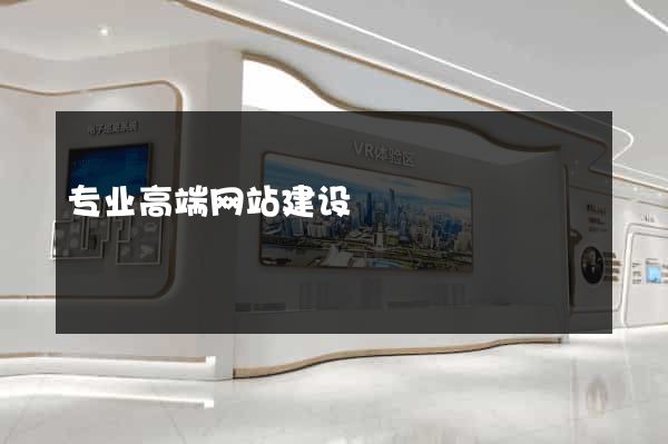 专业高端网站建设