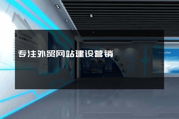 专注外贸网站建设营销