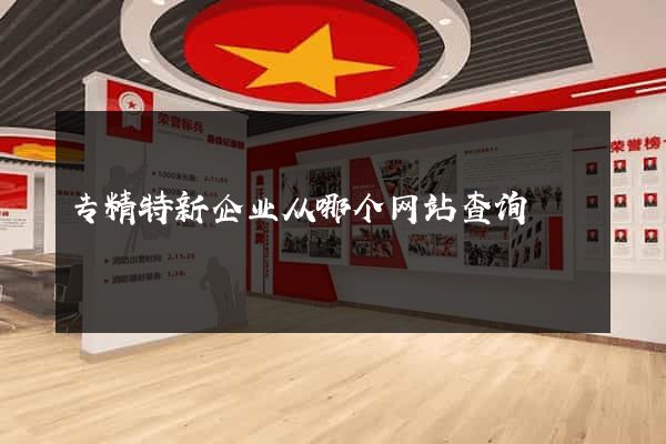 专精特新企业从哪个网站查询