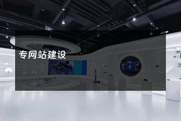 专网站建设