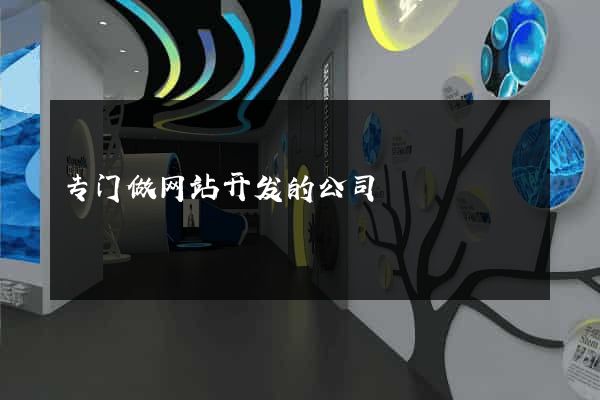 专门做网站开发的公司