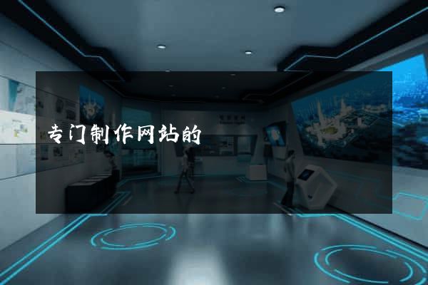 专门制作网站的