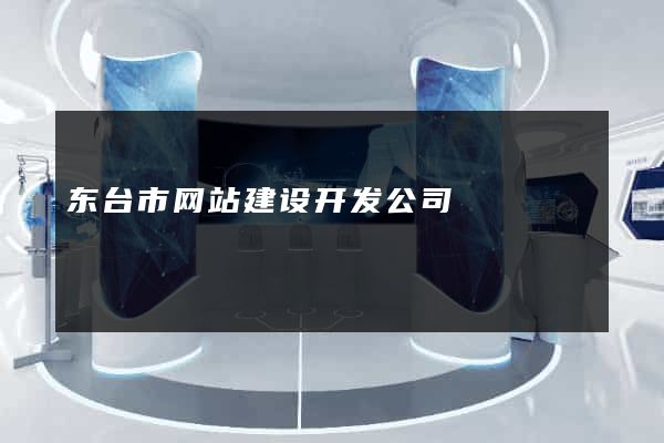 东台市网站建设开发公司