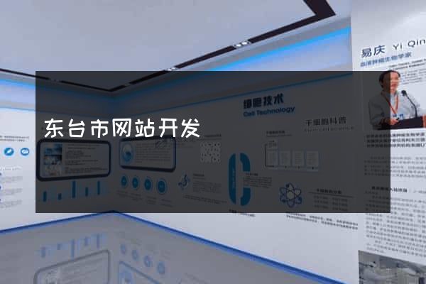 东台市网站开发