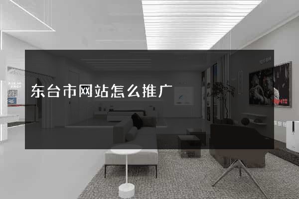 东台市网站怎么推广