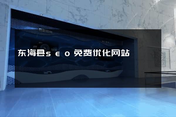 东海县seo免费优化网站