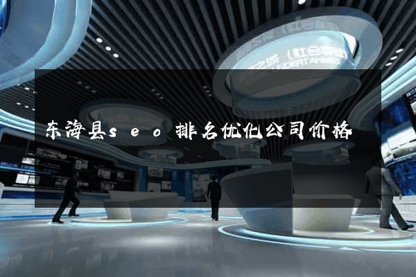 东海县seo排名优化公司价格