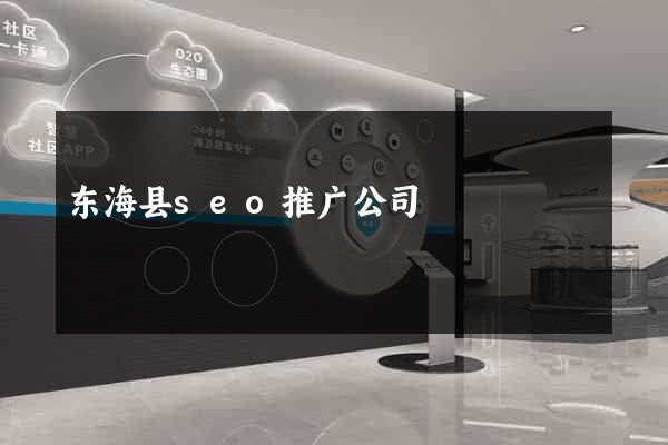 东海县seo推广公司