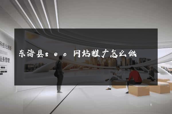 东海县seo网站推广怎么做