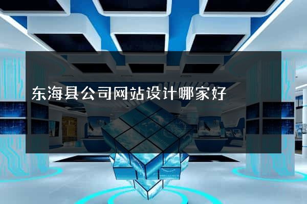 东海县公司网站设计哪家好