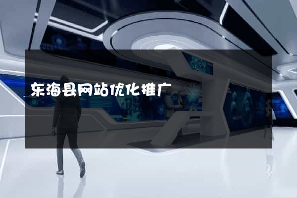 东海县网站优化推广