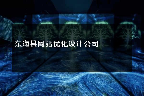 东海县网站优化设计公司