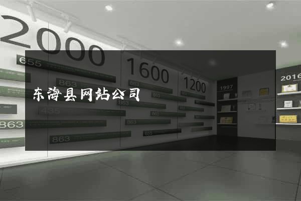 东海县网站公司