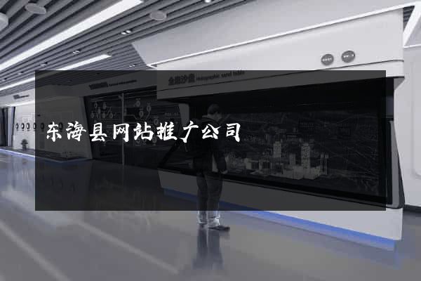 东海县网站推广公司