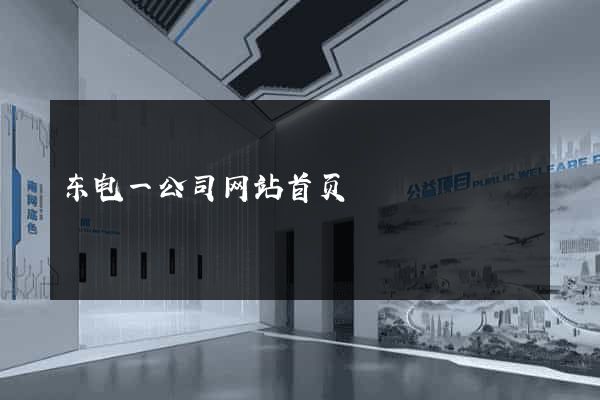 东电一公司网站首页