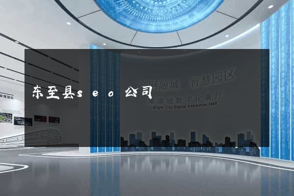 东至县seo公司