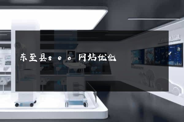东至县seo网站优化