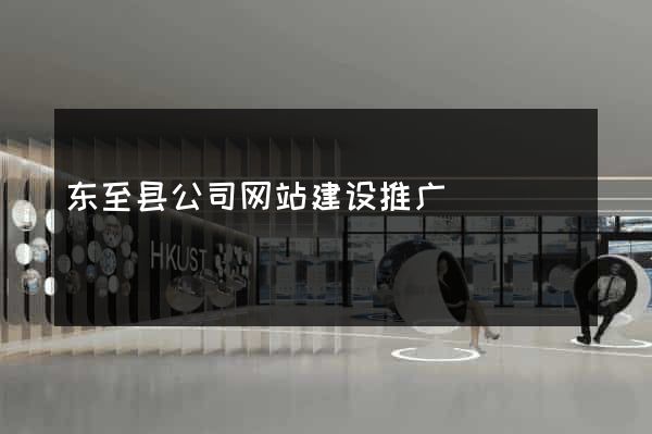 东至县公司网站建设推广