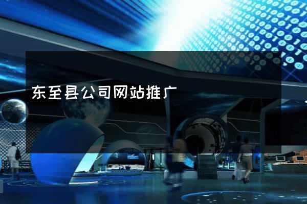 东至县公司网站推广