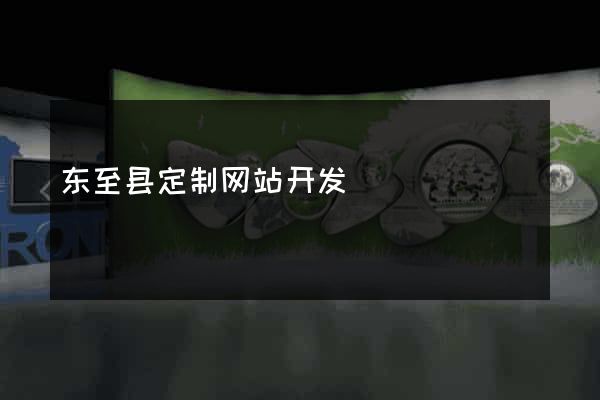 东至县定制网站开发